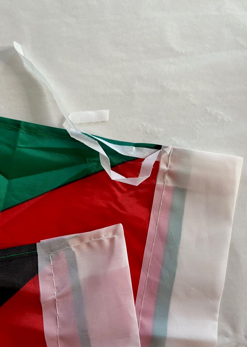 Palestinsk flagg, stort