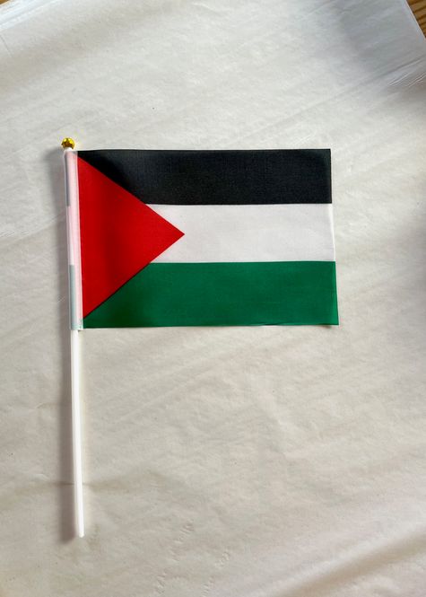 Hovedbilde Palestinsk flagg, lite